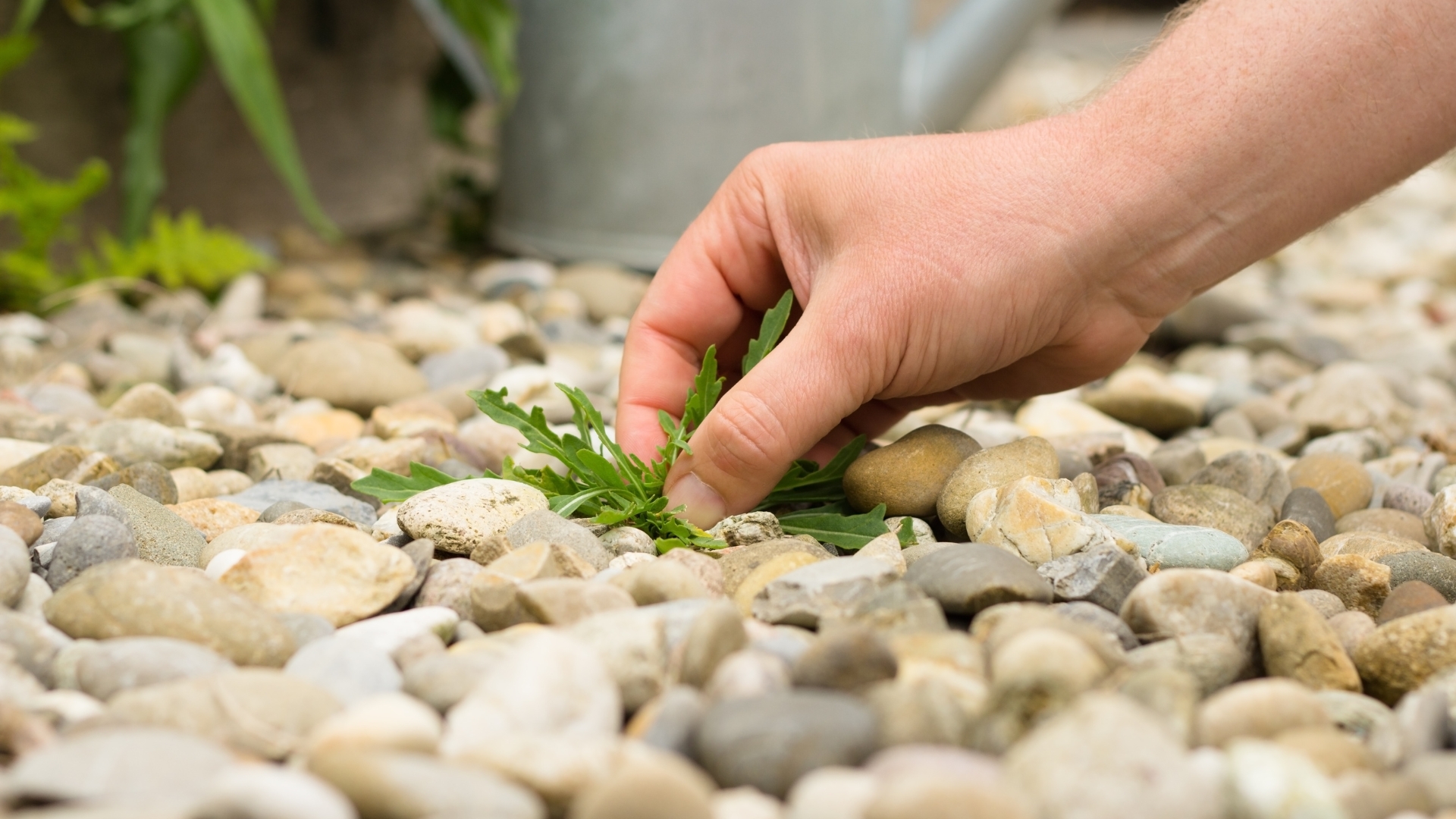 25 Mistakes Everyone Commonly Makes When Using Gravel In Landscaping