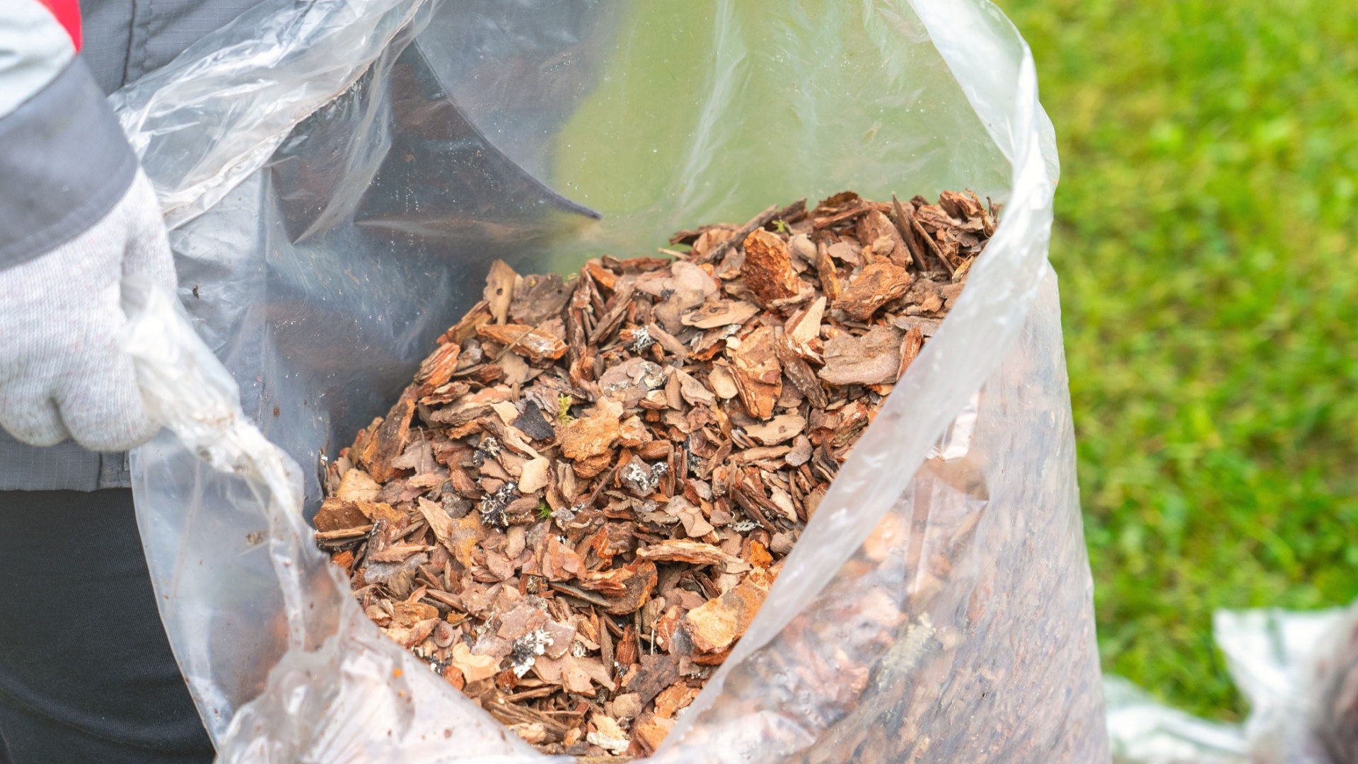 cedar chips in a bag