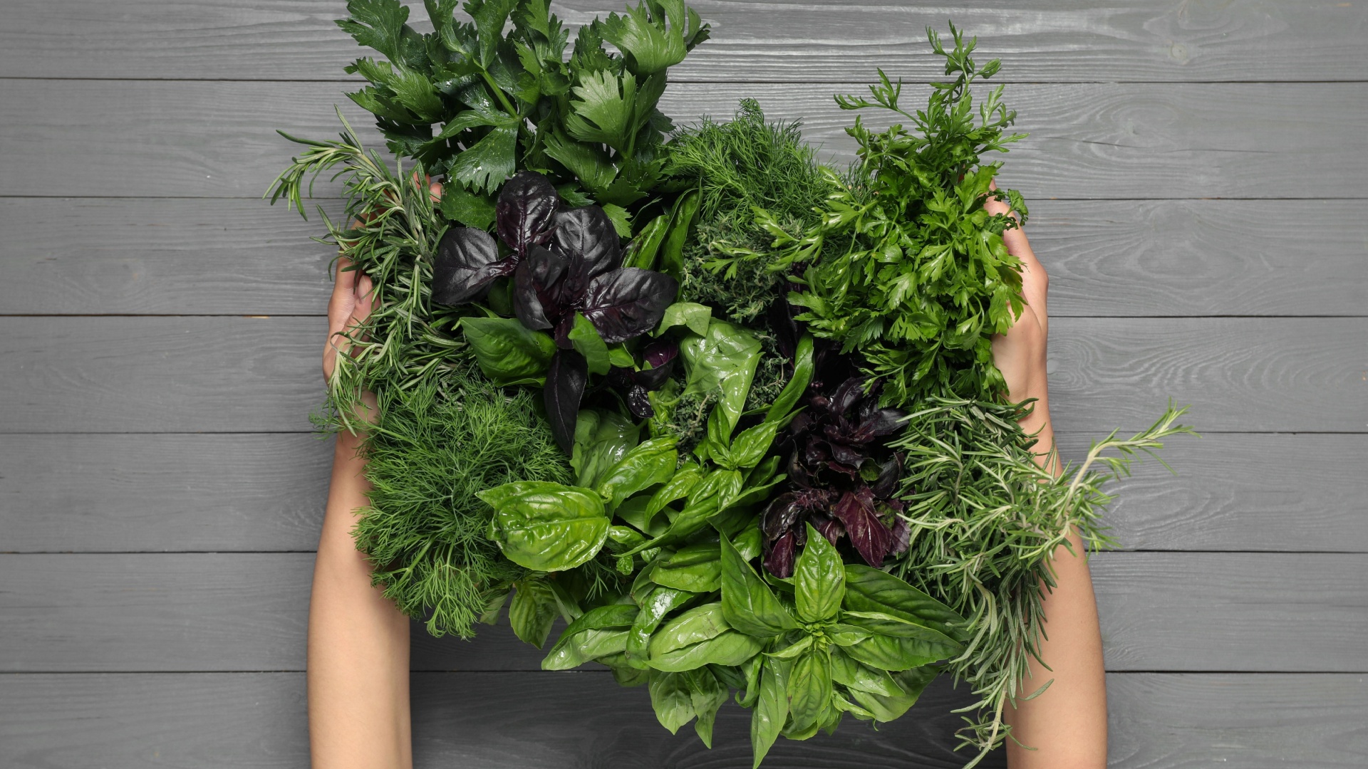28 Herbs That Can Be Planted Together (Plus 5 You Should Avoid Like the Plague)