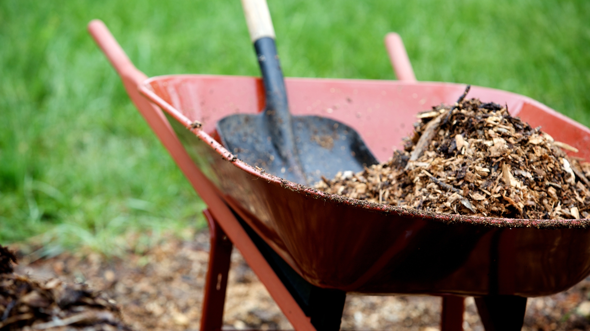 mulch