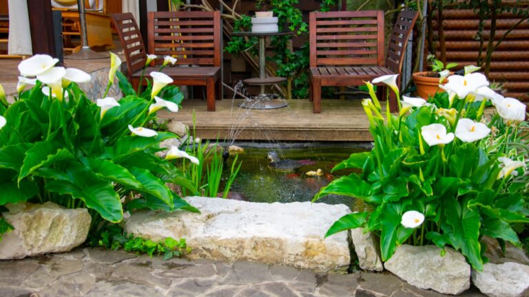 small backyard design