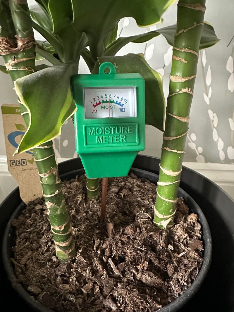 Check Soil Moisture First