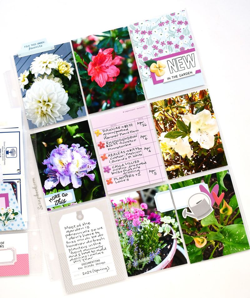 Create Detailed Garden Records