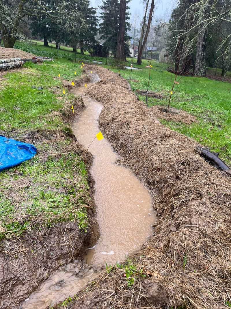 Create Swales and Berms