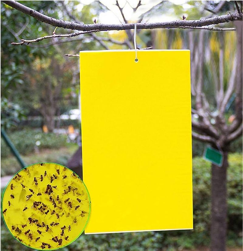 Prepare For Summer Pests
