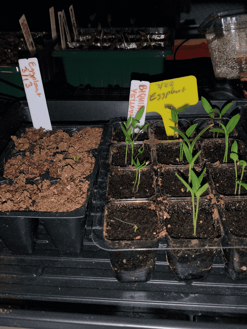 Match Fertilizer To Growing Medium