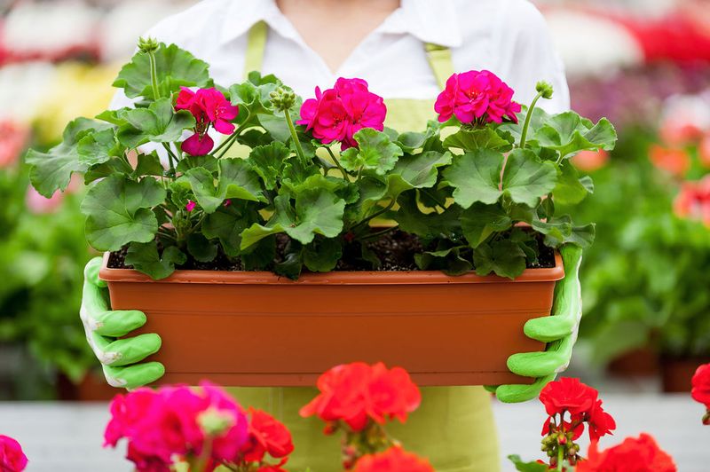 Rotate Fertilizer Types To Prevent Imbalances
