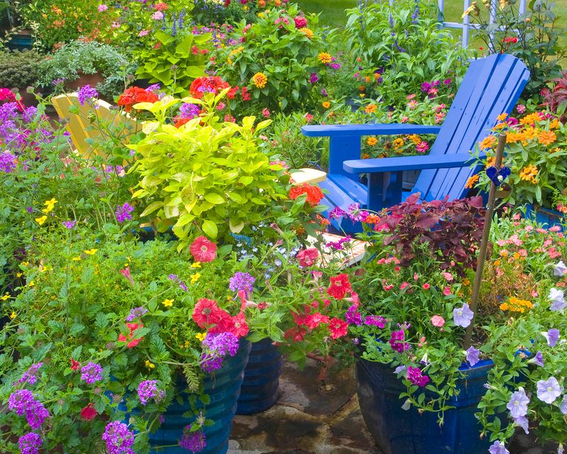 Mismatched Plant Collections