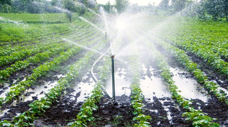 Using Overhead Watering Methods