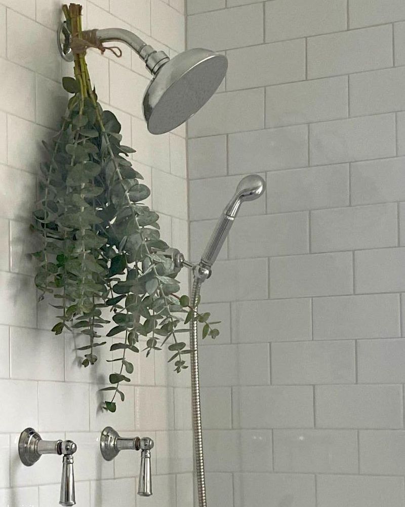 Eucalyptus: The Congestion Crusher