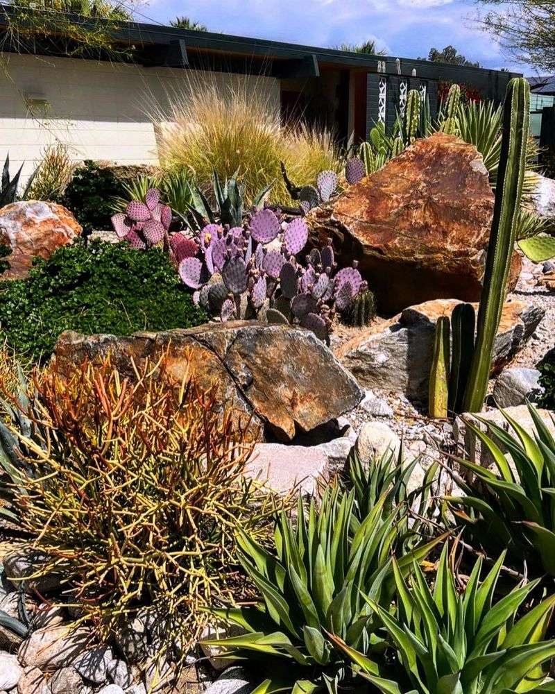 Desert-Inspired Rockery