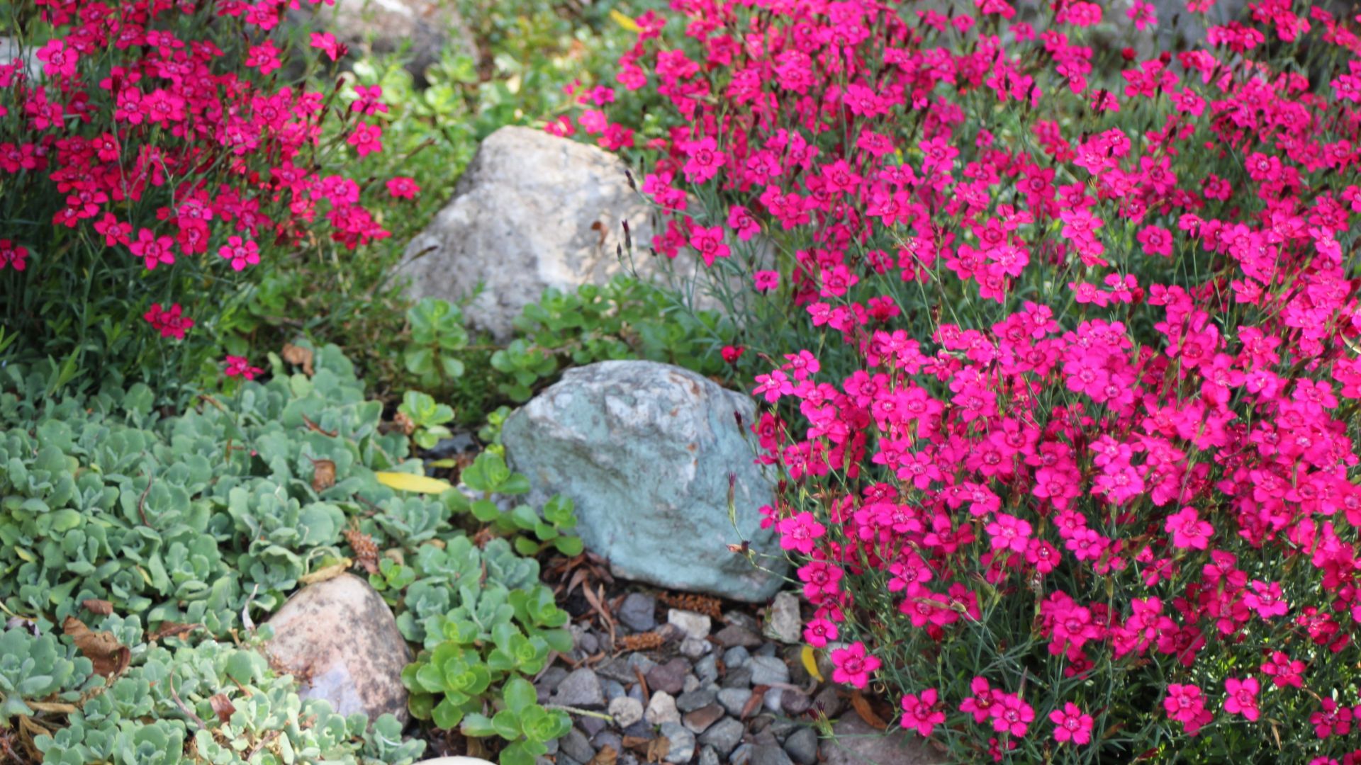 How To Use Rocks In Landscaping: 32 Incredible Ways For A Stunning And ...