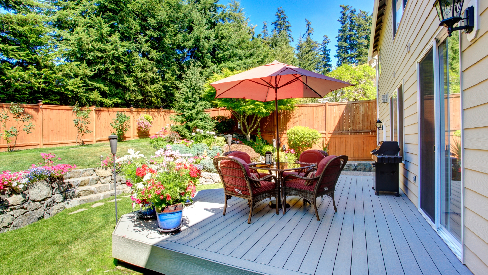 Backyard