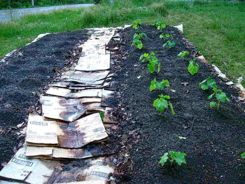 Employ Sheet Composting
