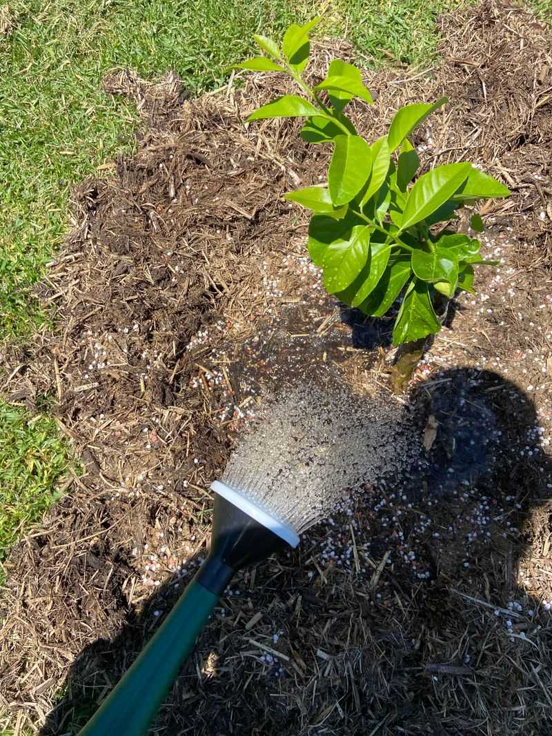 Feed With Balanced Fertilizer