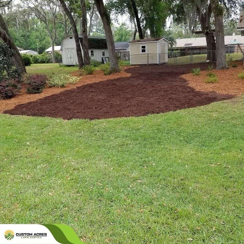 Maintain a Healthy, Thick Lawn