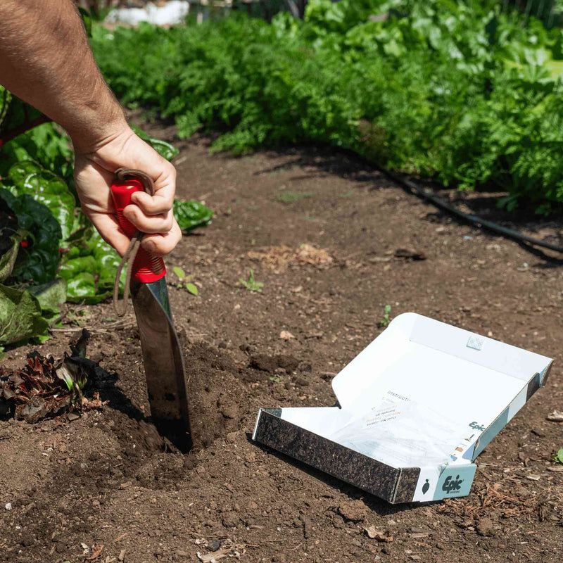 Test soil pH regularly