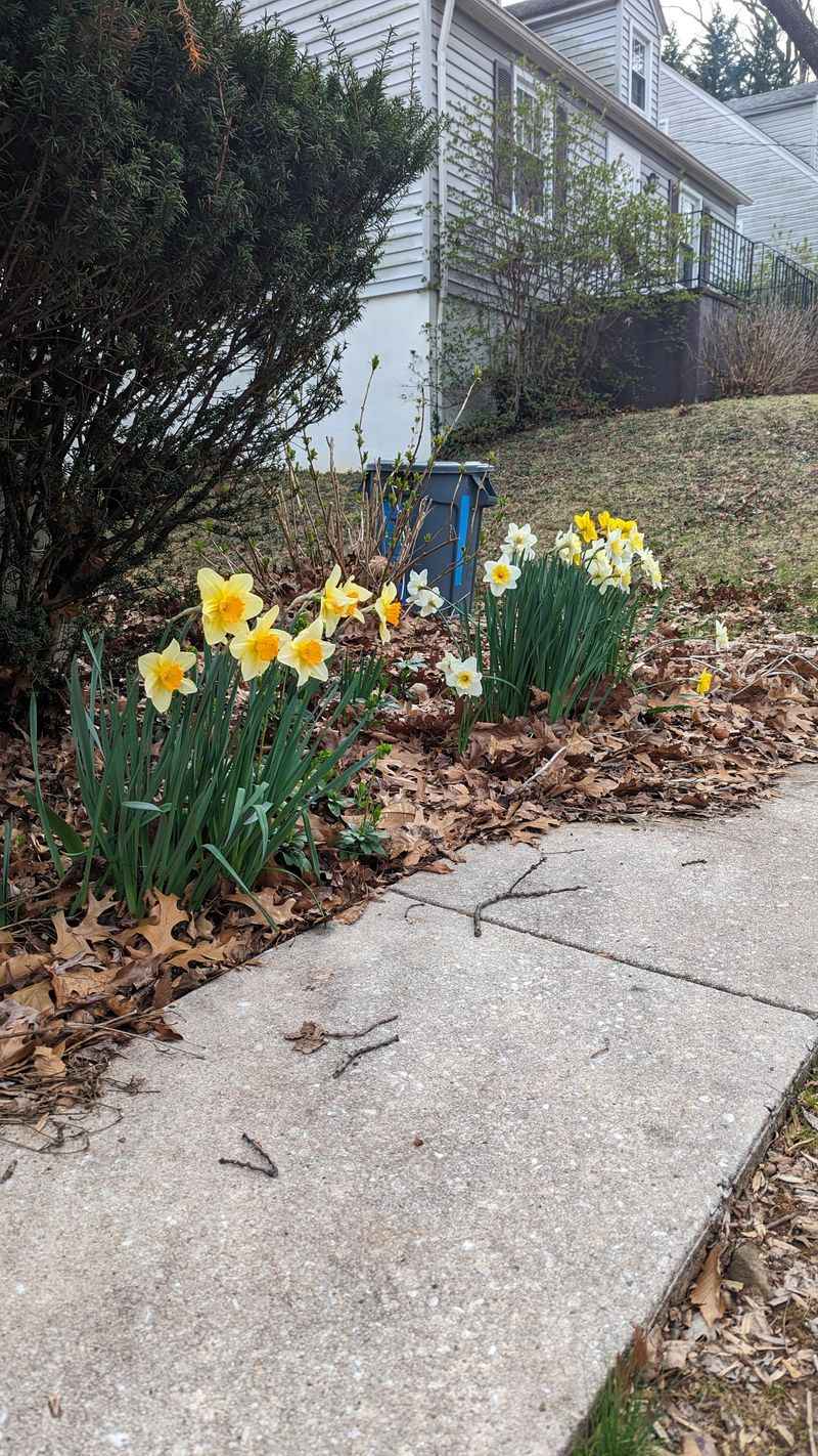 Letting Debris Accumulate