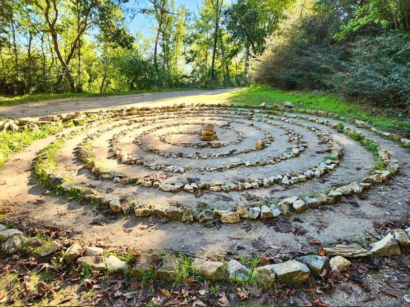 Maze-Like Pathway Systems