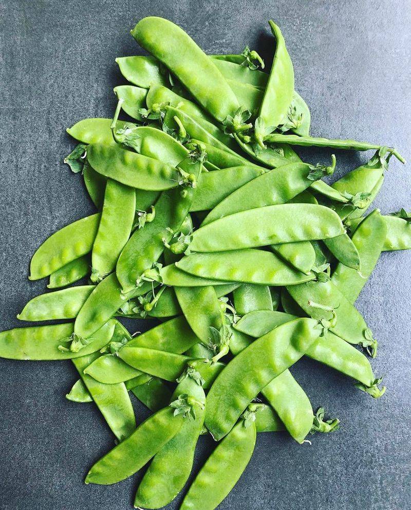 Snow Peas