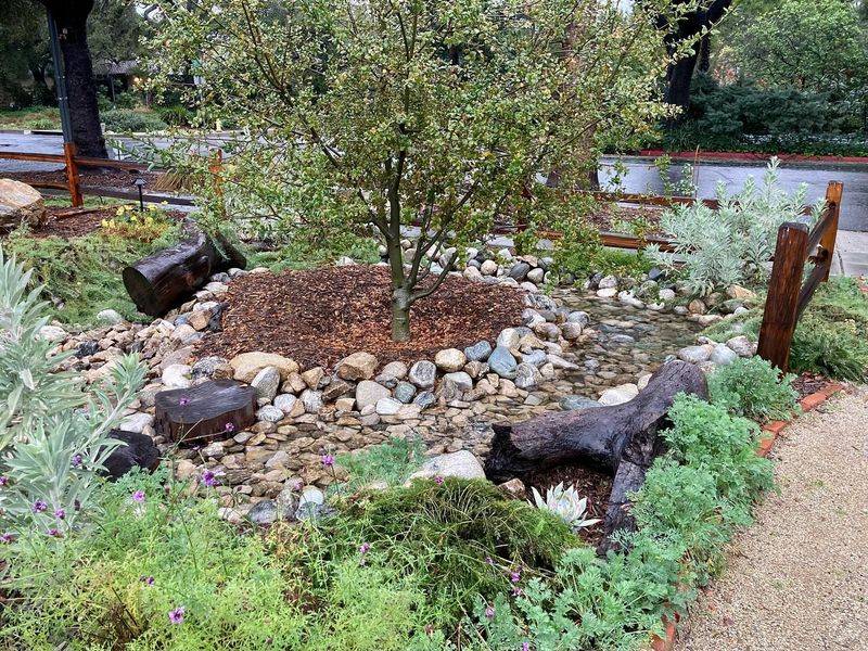 Rain Garden Depression
