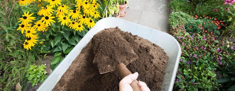 Correct Soil Acidification