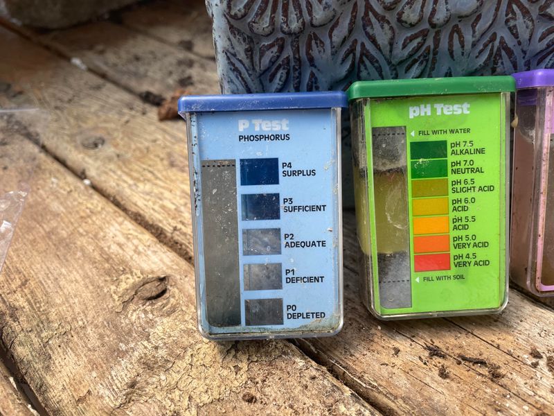 Maintain proper soil pH