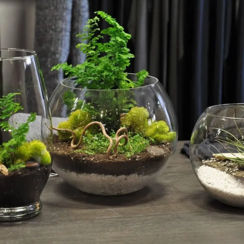 Moss Gardens