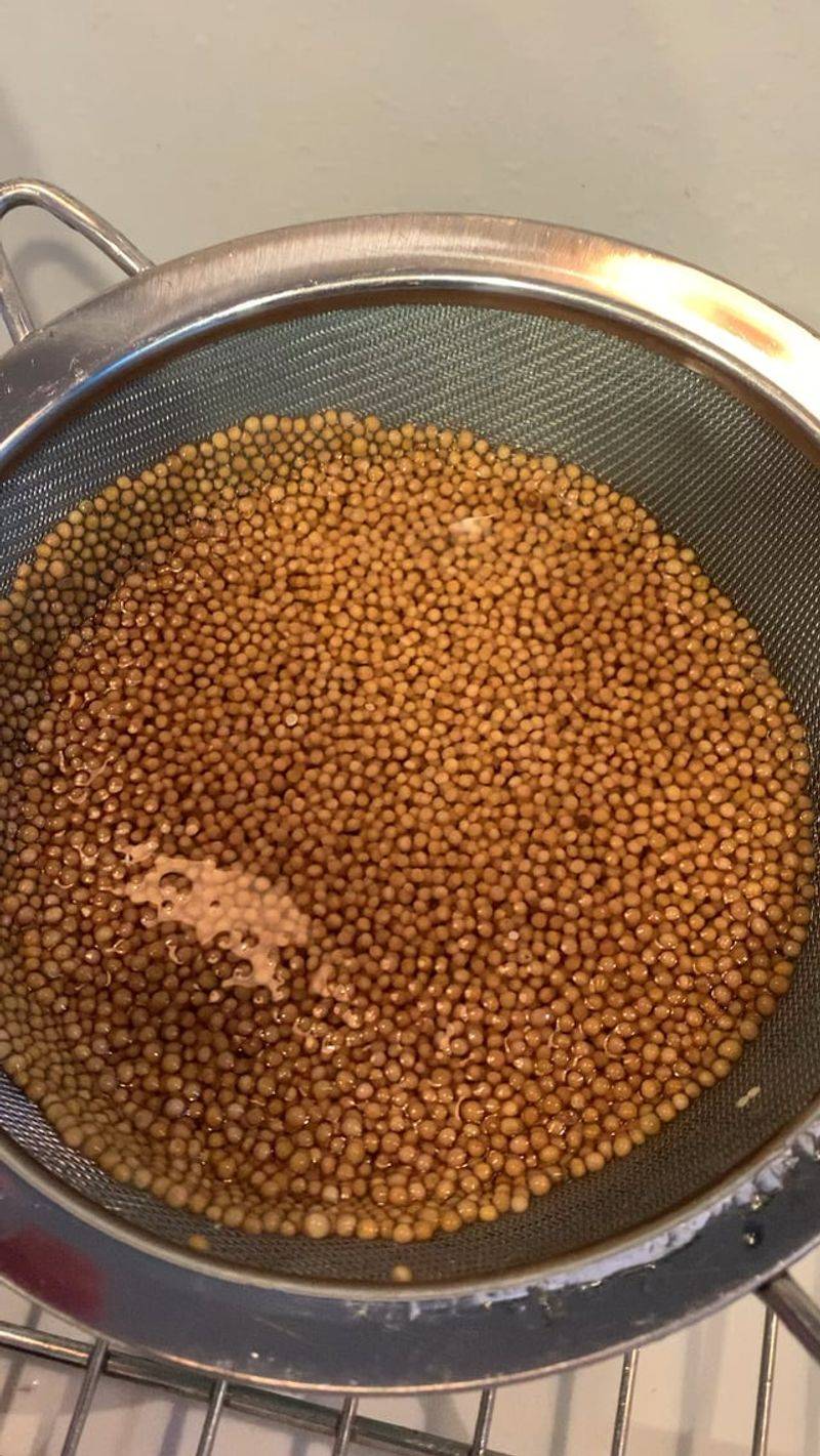 Mustard Seed Soil Cleaner