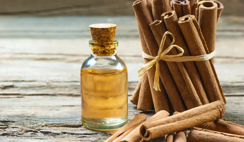 Cinnamon Powder Barrier