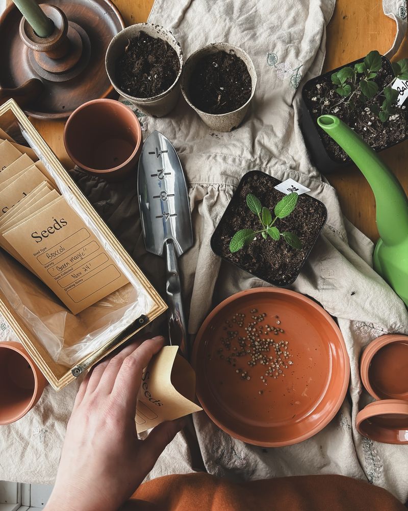 Grandpa's Seed Saving Station