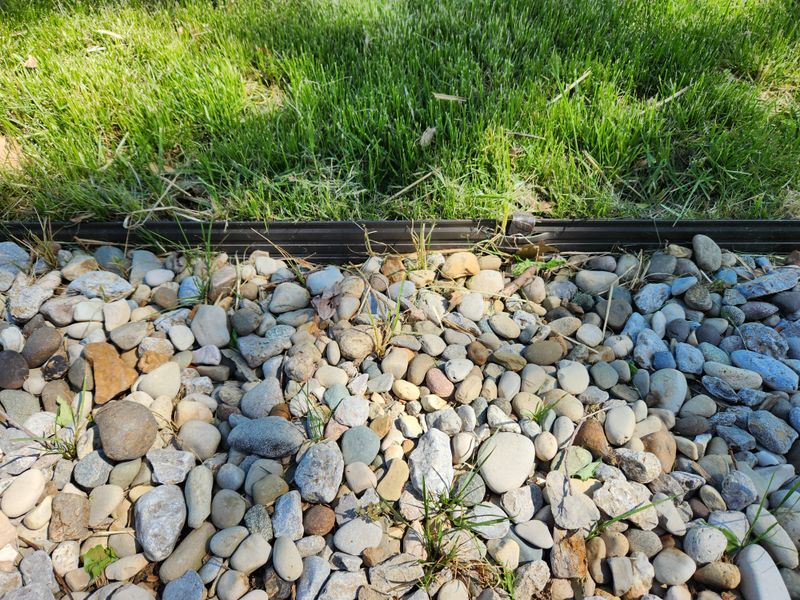Rock Gardens With Weed Barrier Fabric