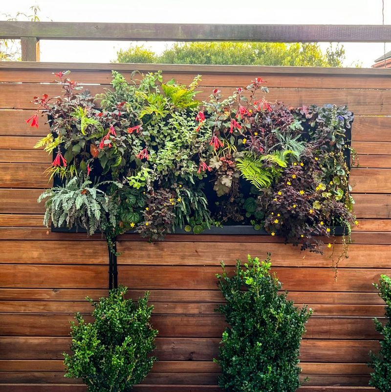 Vertical Garden Fence