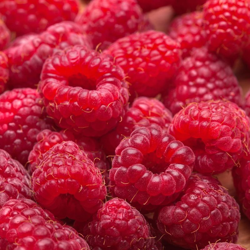 Raspberries