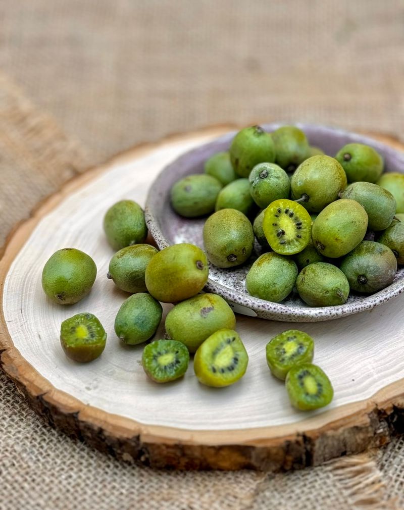 Kiwi