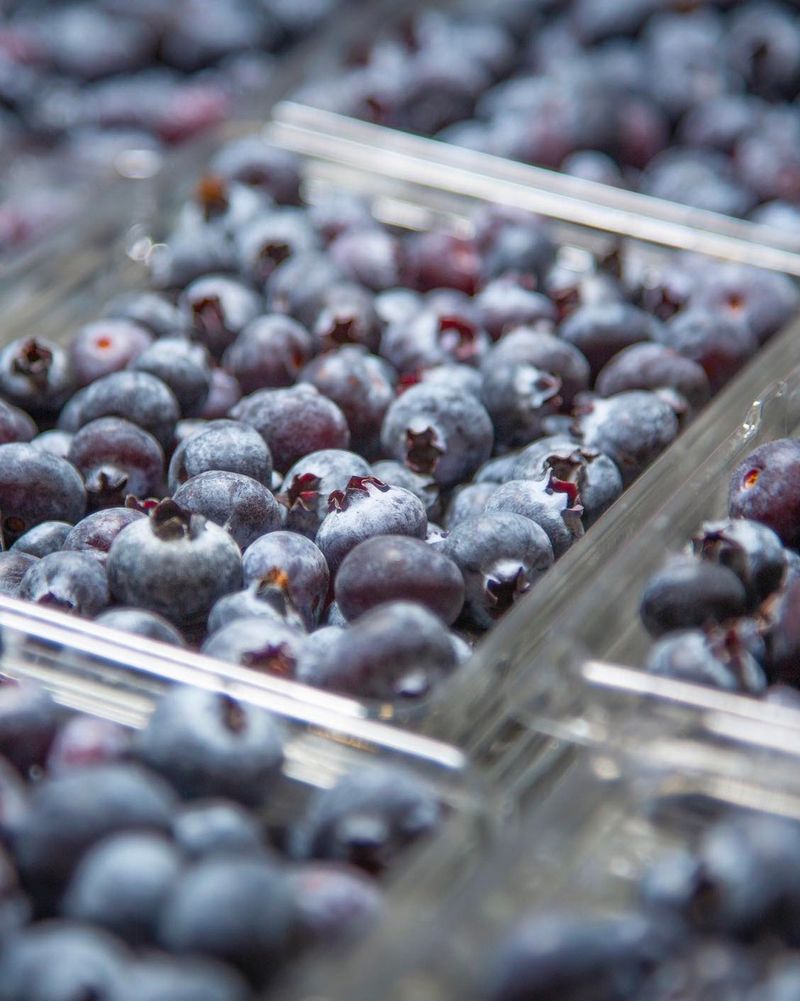 Only Blueberries Provide Anthocyanins