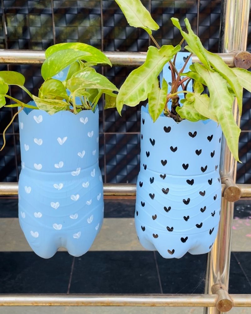 Plastic Bottle Hanging Planters