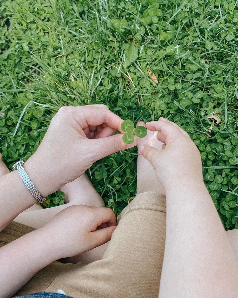 Pull Clover By Hand For Small Infestations