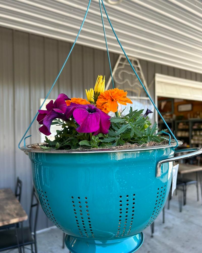Colander Hanging Baskets