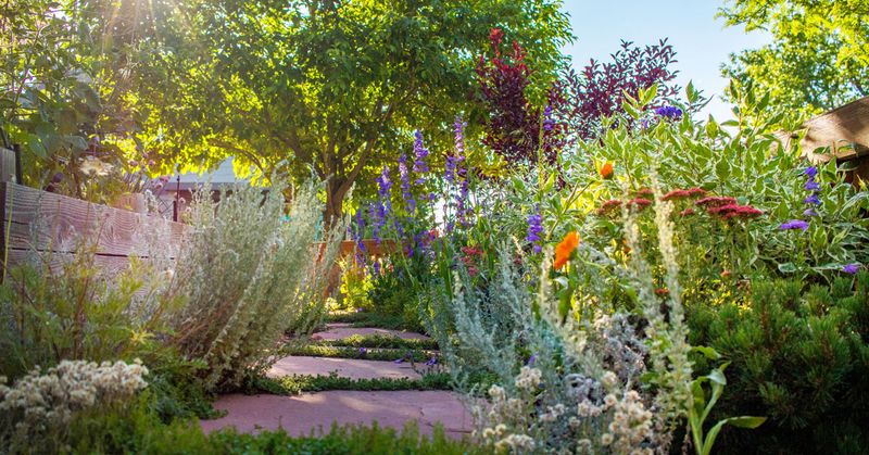 Drought-Resistant Perennial Border