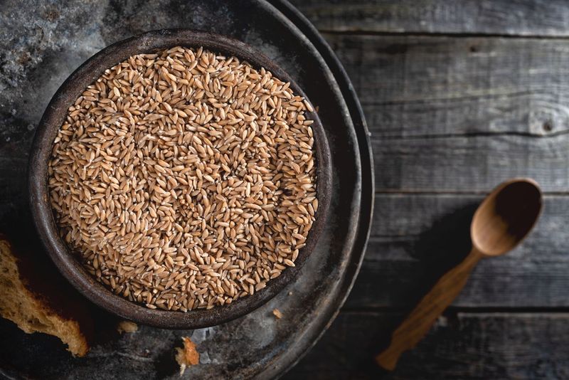 Egyptian Wheat - Pharaoh's Ancient Grain