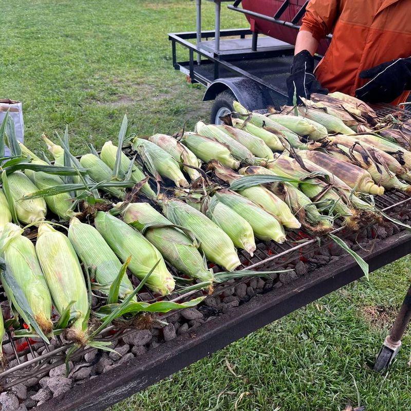Corn: The Towering Resource Hog