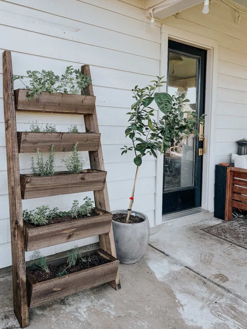 Vertical Herb Ladder