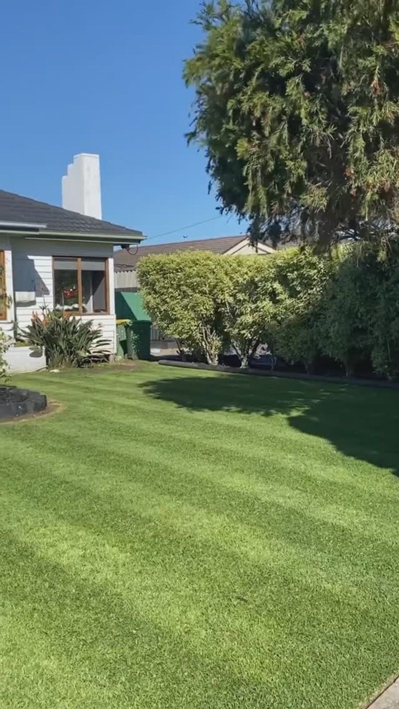 Thin Grass