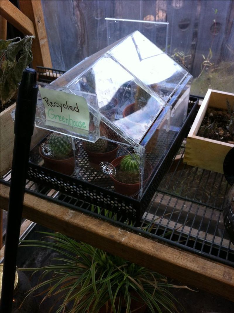 CD Case Mini-Greenhouse