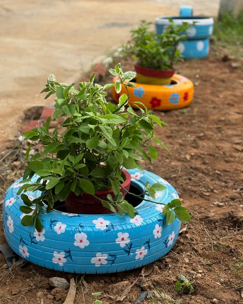 Tire Garden Beds