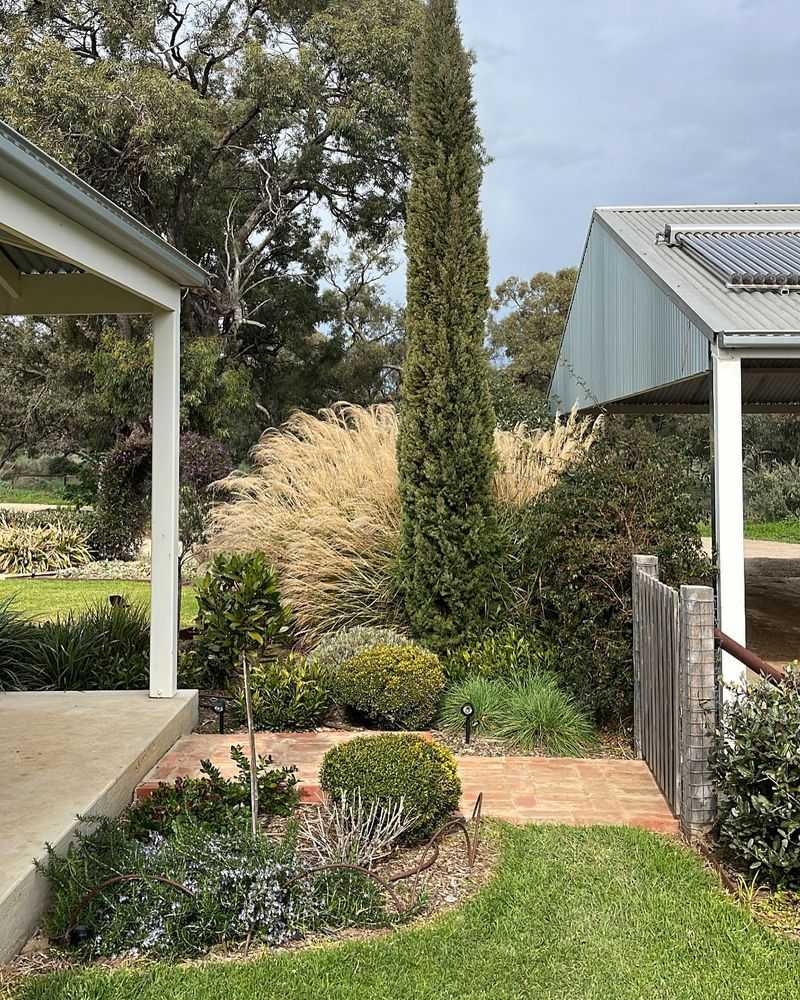 Ornamental Grasses Need a Reset