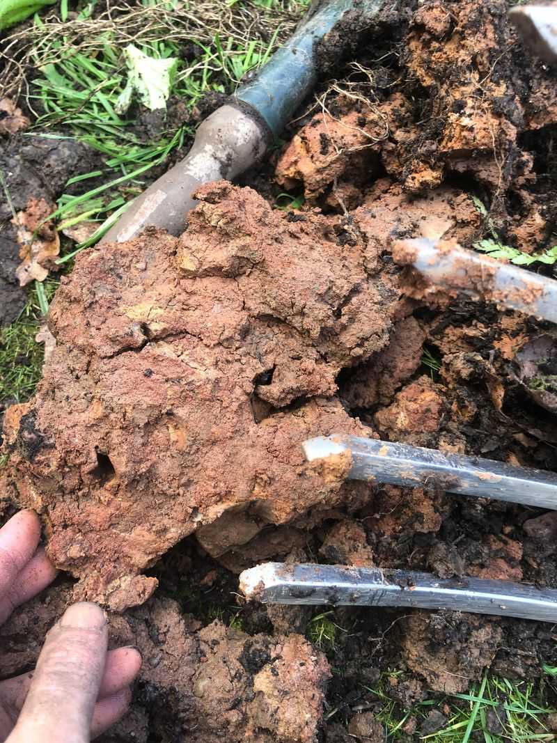 Add Organic Matter to Clay Soil