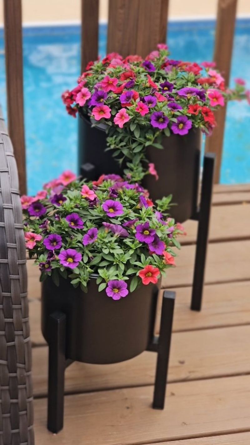 Reduces Plant Shopping Frustration