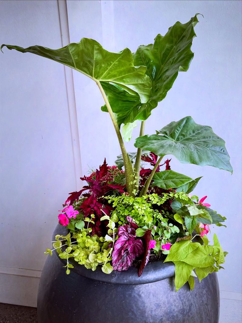 Tropical Foliage Statements